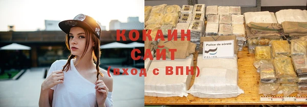 мдпв Кодинск