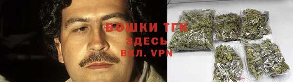 мдпв Кодинск