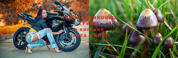 мдпв Кодинск