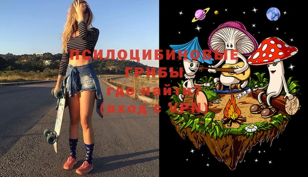 метамфетамин Козловка