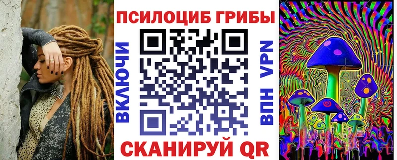 Галлюциногенные грибы Psilocybine cubensis  Купить  Мариинский Посад 